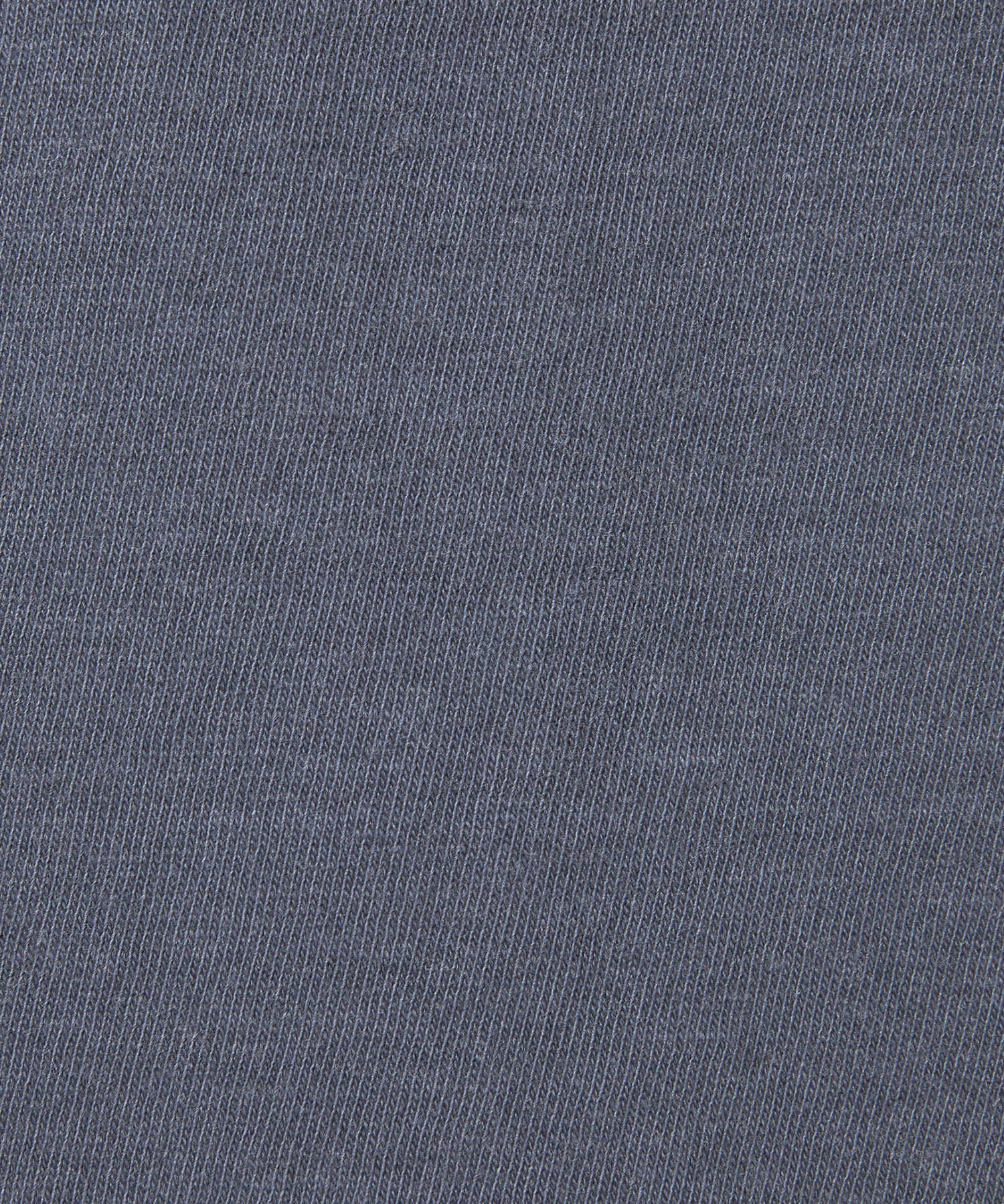 CGS × PDI Pacifornia TEE ASH BLUE