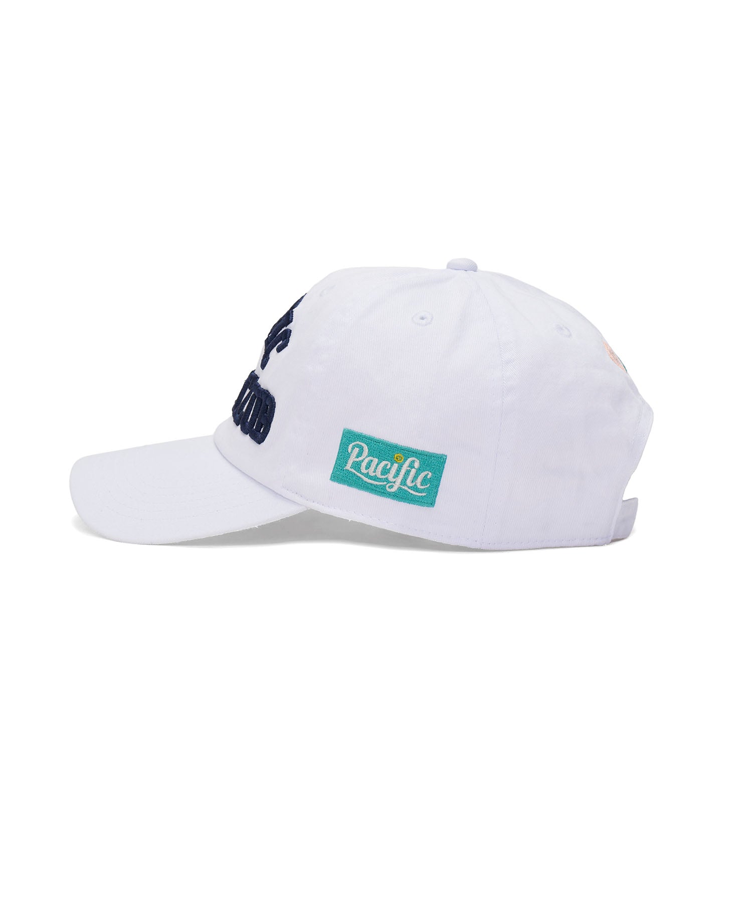 PPC COLLEGE LOGO CAP